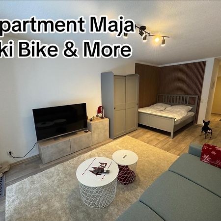 Apartment Maja Unmittelbar An Der Skipiste Винтерберг Екстериор снимка