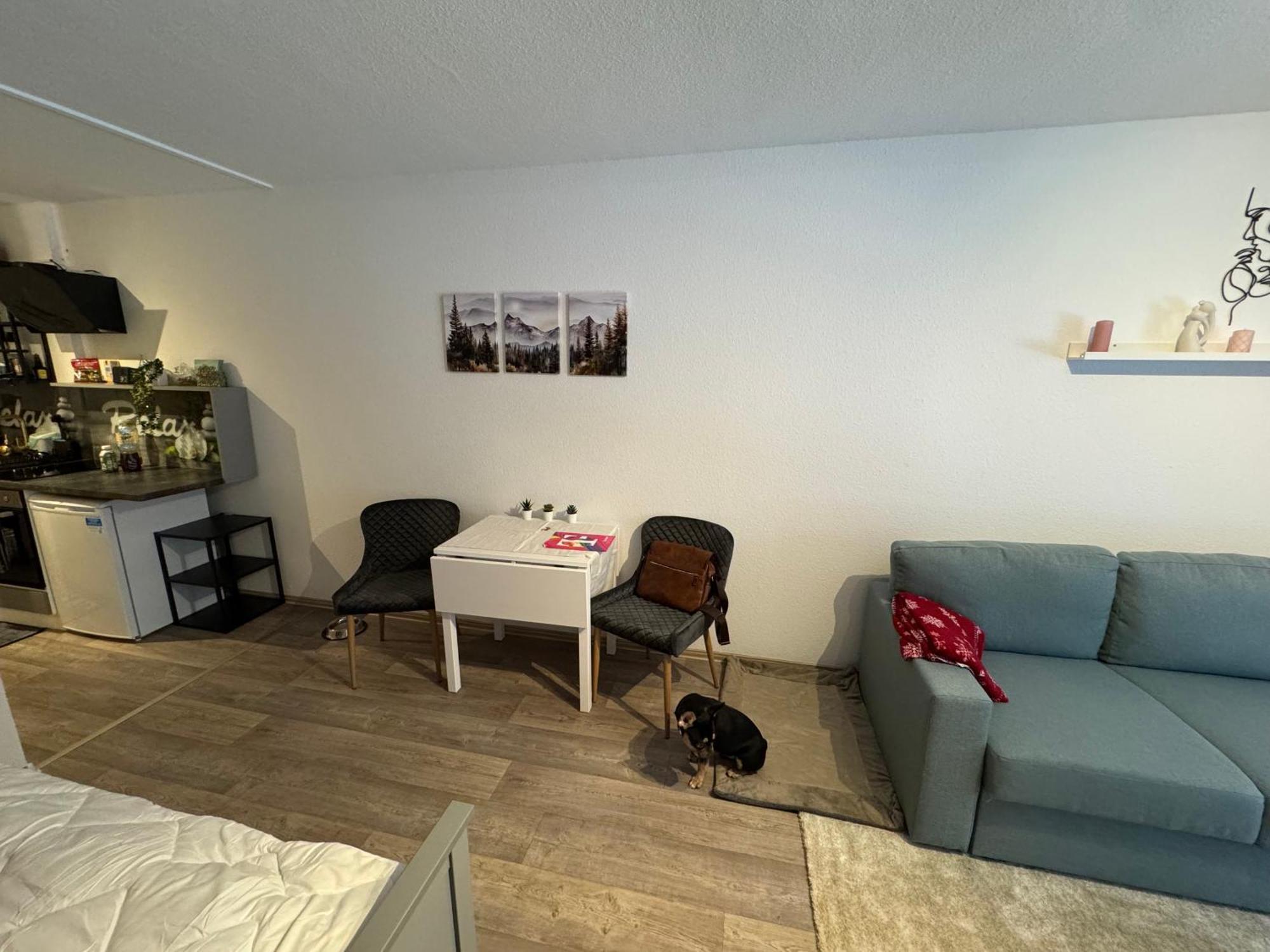 Apartment Maja Unmittelbar An Der Skipiste Винтерберг Екстериор снимка