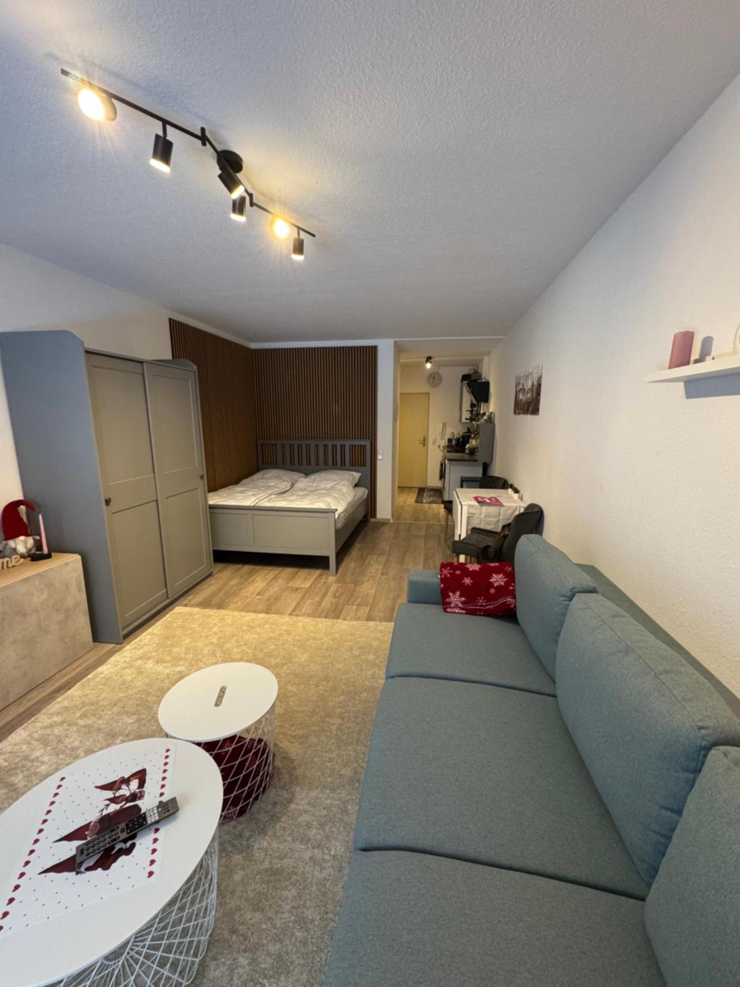 Apartment Maja Unmittelbar An Der Skipiste Винтерберг Екстериор снимка