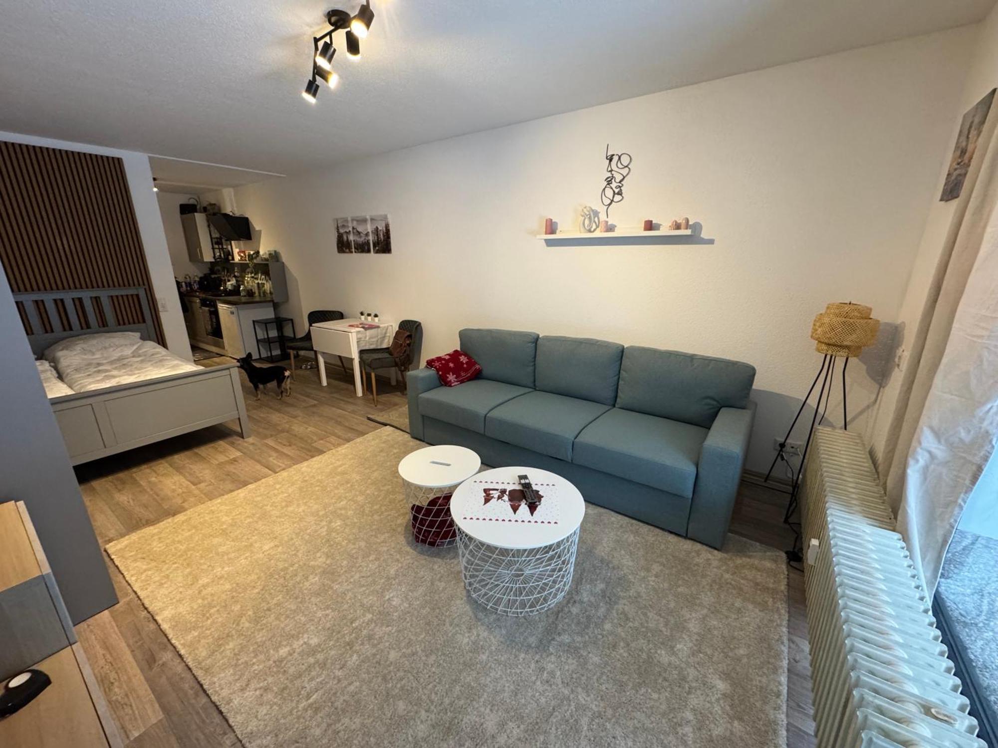 Apartment Maja Unmittelbar An Der Skipiste Винтерберг Екстериор снимка