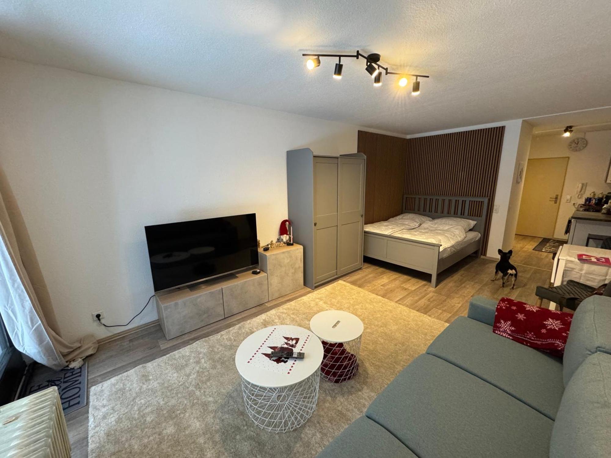 Apartment Maja Unmittelbar An Der Skipiste Винтерберг Екстериор снимка