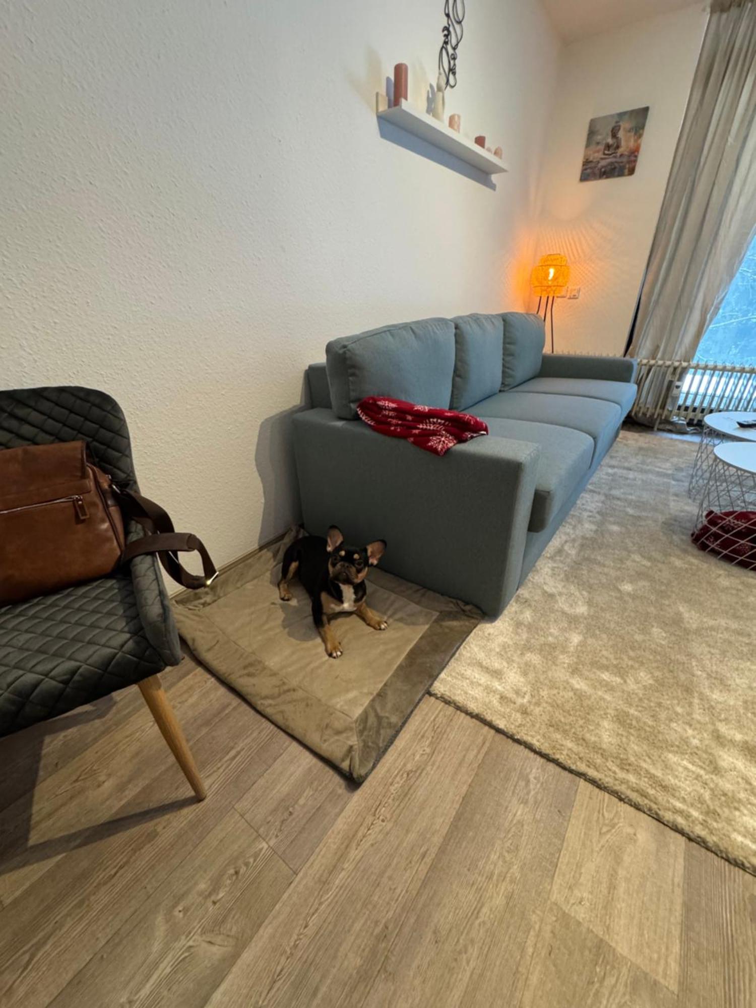 Apartment Maja Unmittelbar An Der Skipiste Винтерберг Екстериор снимка