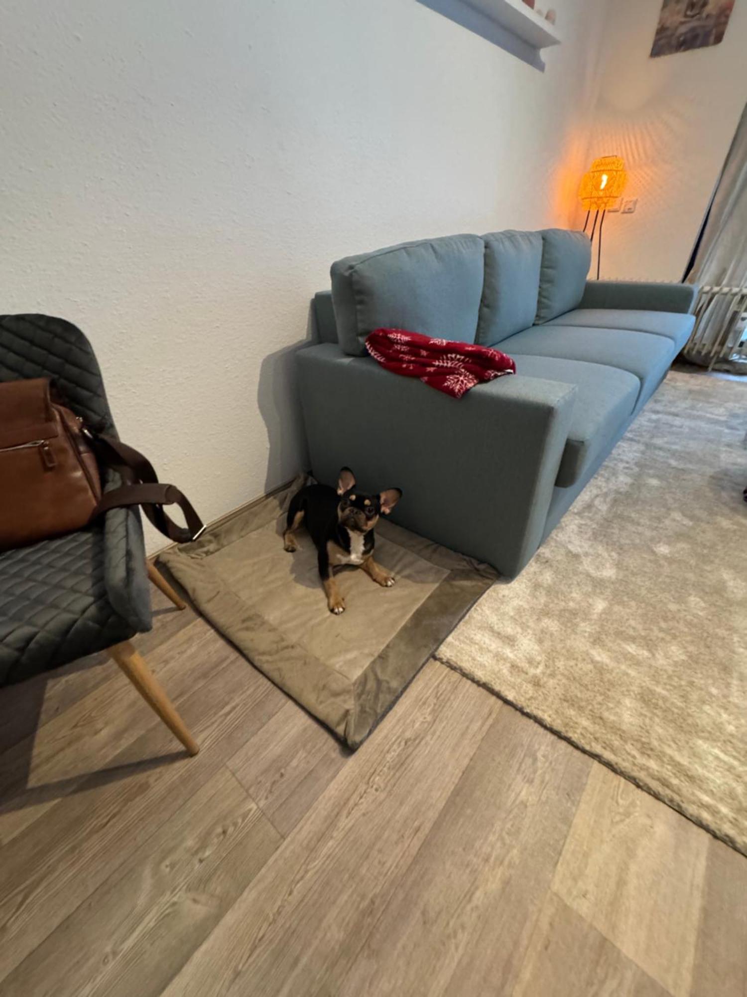 Apartment Maja Unmittelbar An Der Skipiste Винтерберг Екстериор снимка
