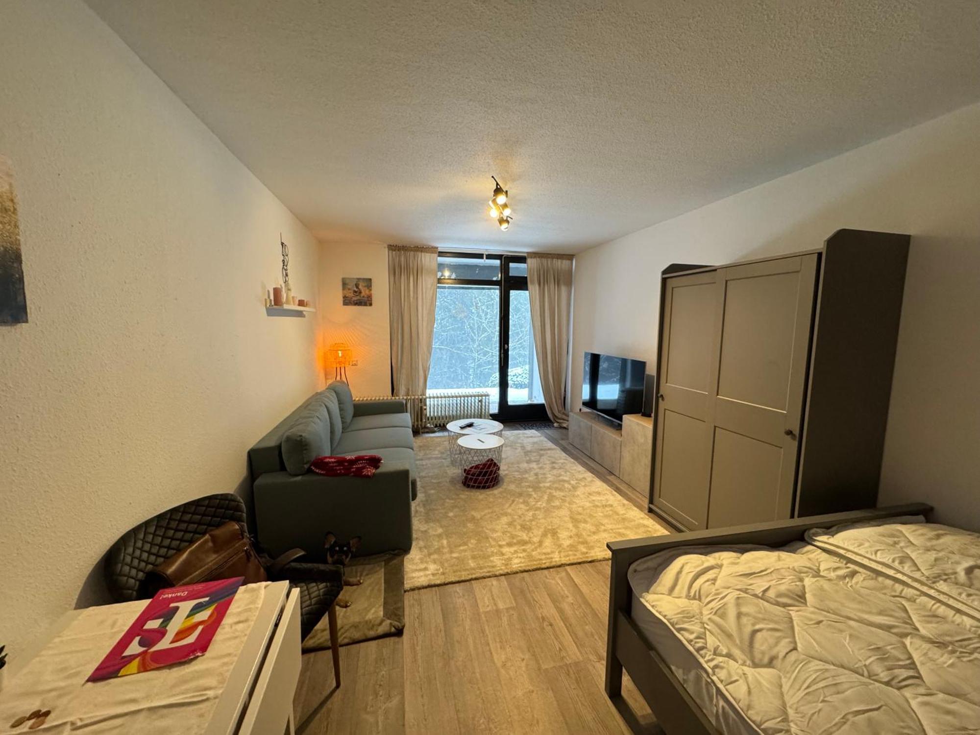 Apartment Maja Unmittelbar An Der Skipiste Винтерберг Екстериор снимка