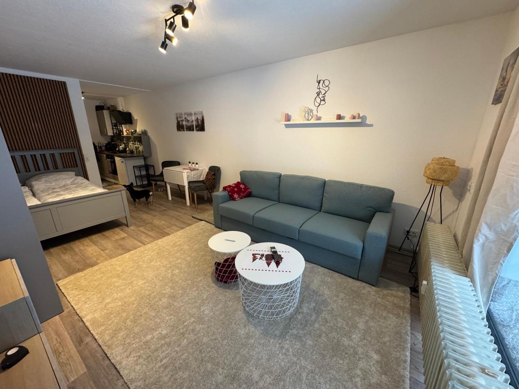 Apartment Maja Unmittelbar An Der Skipiste Винтерберг Екстериор снимка