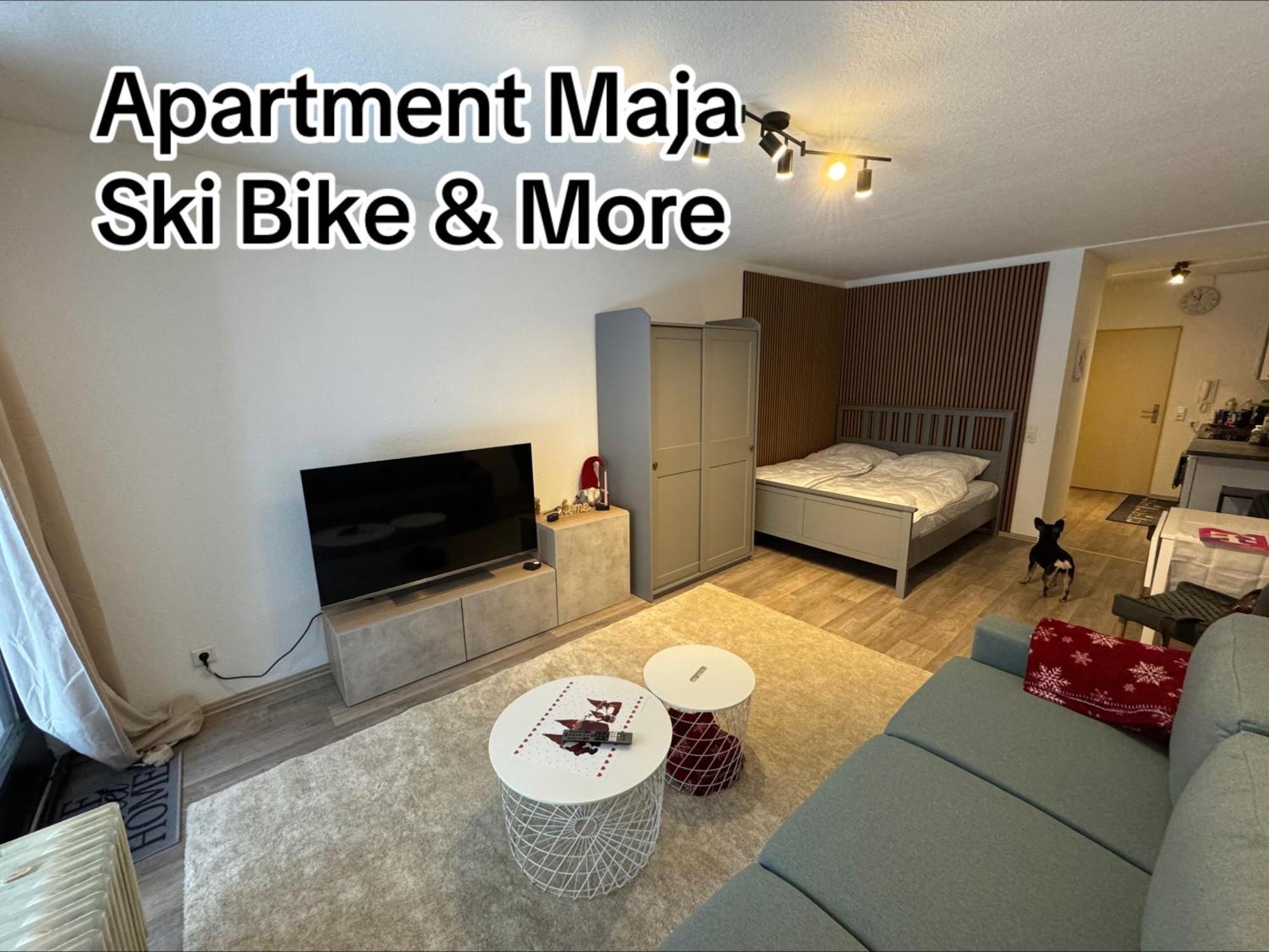Apartment Maja Unmittelbar An Der Skipiste Винтерберг Екстериор снимка